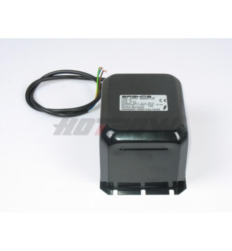 ignition coil T8